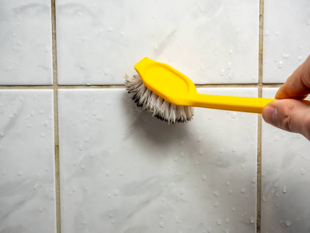 Best Post-Remediation Services in Hebron, NE